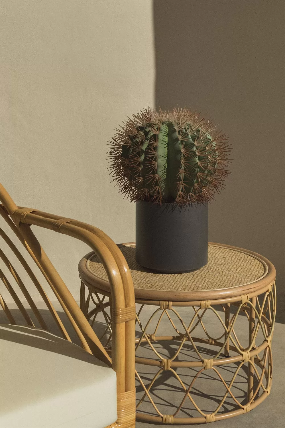Cactus artificiale decorativo in vaso nero su tavolino in rattan, ideale per piccoli portici