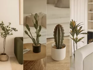 Descubre las 3 claves para decorar el salón con plantas y darle vida a tu hogar
