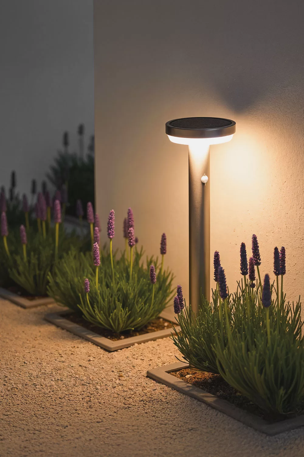 Balise LED solaire pour un éclairage fonctionnel sur une petite terrasse avec un jardin latéral