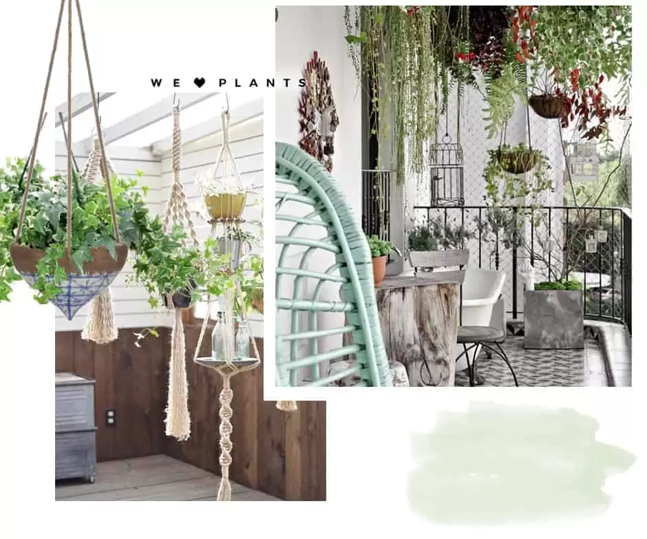 Balcones con plantas
